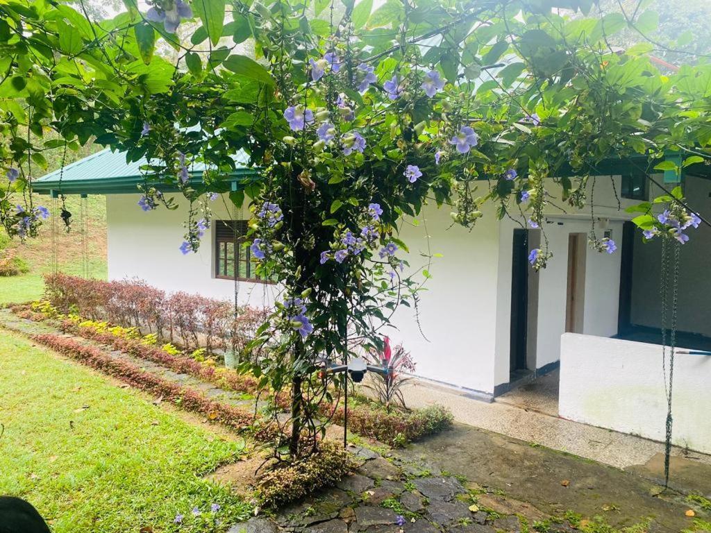 Tearamb Holiday Bungalow Otalawa Екстер'єр фото
